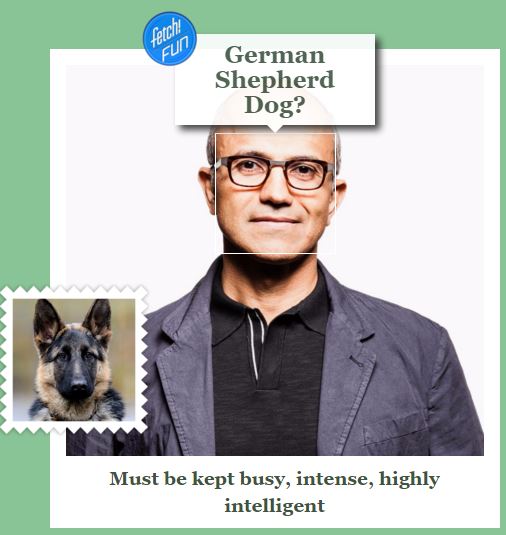 Satya Nadella German Shepherd - Fetch! App Result